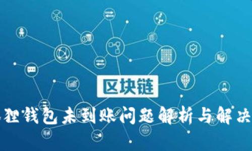 小狐狸钱包未到账问题解析与解决方案