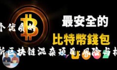 思考一个优质的深入解析区块链混杂项目：风险