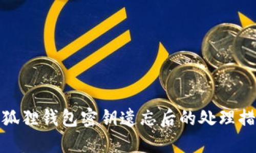 小狐狸钱包密钥遗忘后的处理措施