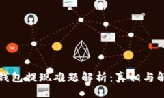 小狐狸钱包提现难题解析：真相与解决方案