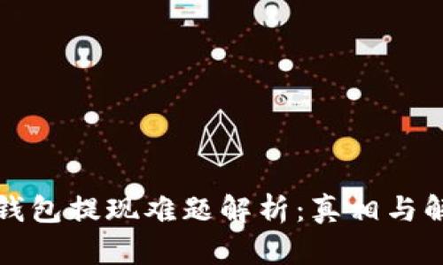 小狐狸钱包提现难题解析:真相与解决方案