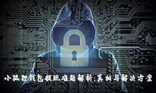 小狐狸钱包提现难题解析:真相与解决方案