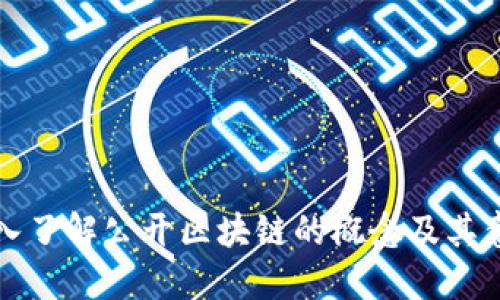 深入了解公开区块链的概念及其意义