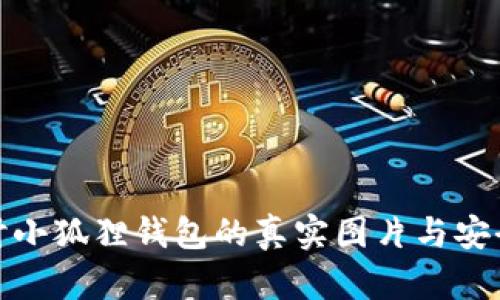 探讨小狐狸钱包的真实图片与安全性