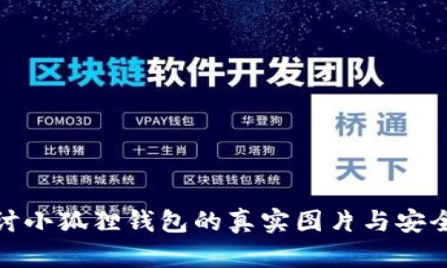 探讨小狐狸钱包的真实图片与安全性