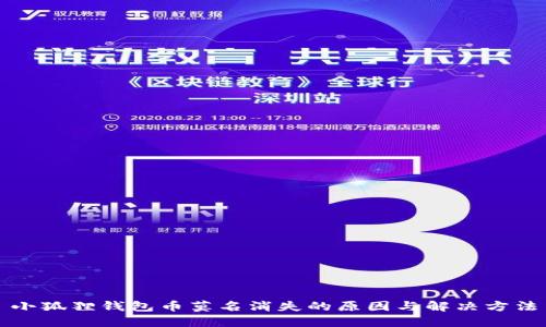 小狐狸钱包币莫名消失的原因与解决方法