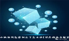 小狐狸钱包密钥忘了怎么办？详尽指南与解答