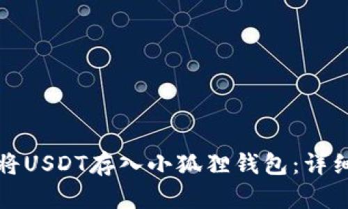 如何将USDT存入小狐狸钱包:详细指南