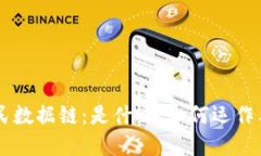 区块链全民数据链：是什么、如何运作与未来展