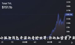解锁小狐狸钱包开源的奇妙世界：你的加密资产