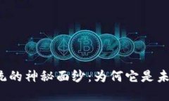 揭开区块链权限系统的神秘面纱：为何它是未来