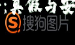 小狐狸钱包揭秘：真假与安全性的深度分析