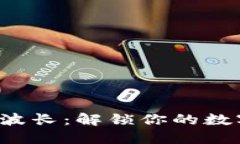 小狐狸钱包安波长：解锁你的数字资产新未来！