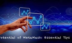 Unlocking the Potential of MetaMask: Essential Tips for Ever