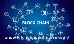 小狐狸钱包：如何找回丢失的LUNA资产