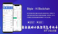 : 克服技术困扰，轻松找回小狐狸钱包中的币!