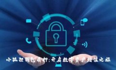 小狐狸钱包质押：开启数字资产增值之旅