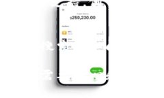 关于“小狐狸钱包不显示金额”的问题，您可以