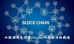 小狐狸钱包设置Klaytn网络的详细指南