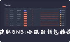 轻松获取BNB：小狐狸钱包接收指南