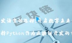 区块链开发语言的选择：开启数字未来的钥匙为
