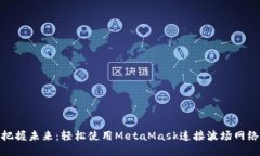 把握未来：轻松使用MetaMask连接波场网络