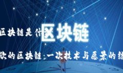 王欣的区块链是什么探寻王欣的区块链：一次技