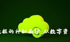 揭开区块链数据的神秘面纱：从数字资产到真实