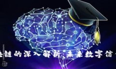 数据区块链的深入解析：未来数字信任的基石