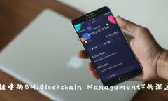 区块链中的BM（Blockchain Management）的深度解析