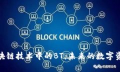 探索区块链技术中的BT：未来的数字资产革命