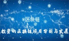 丁磊投资的区块链项目分析与发展前景