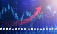 : 区块链技术与猫的品种：连接未来与自然的奇妙