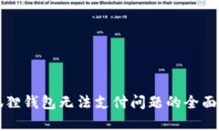 小狐狸钱包无法支付问题的全面解析