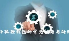 解决小狐狸钱包的常见问题与处理指南