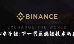 NTN中子链：下一代区块链技术的先锋