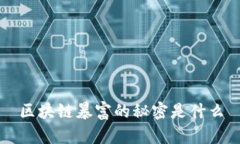 区块链暴富的秘密是什么