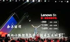 和关键词 我的小狐狸钱包收不到币怎么回事？