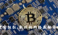 区块链黑客组织：新兴的网络威胁与安全挑战