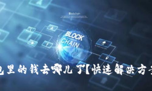 : 小狐狸钱包里的钱去哪儿了？快速解决方案与使用技巧