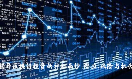 揭开区块链投资的神秘面纱：潜力、风险与机会