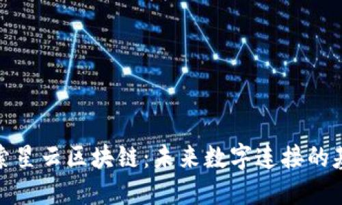 探索星云区块链：未来数字连接的基石