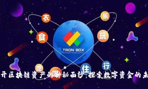揭开区块链资产的神秘面纱：探索数字资金的未来