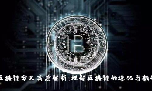 区块链分叉高度解析：理解区块链的进化与挑战