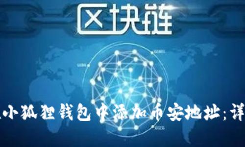 如何在小狐狸钱包中添加币安地址：详细指南