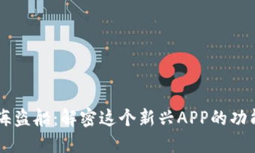 区块链海盗船：解密这个新兴APP的功能与魅力