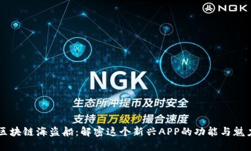 区块链海盗船：解密这个新兴APP的功能与魅力