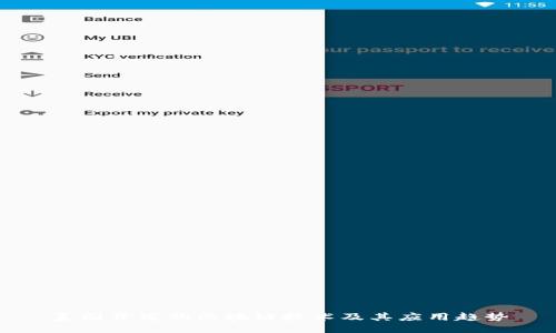 美国开发的区块链技术及其应用趋势