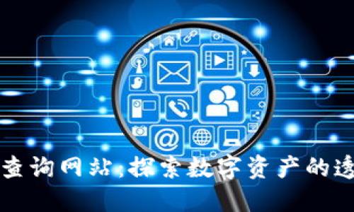 区块链注册码查询网站：探索数字资产的透明性与安全性