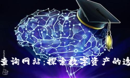 区块链注册码查询网站：探索数字资产的透明性与安全性